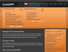 Tablet Screenshot of durabledns.com